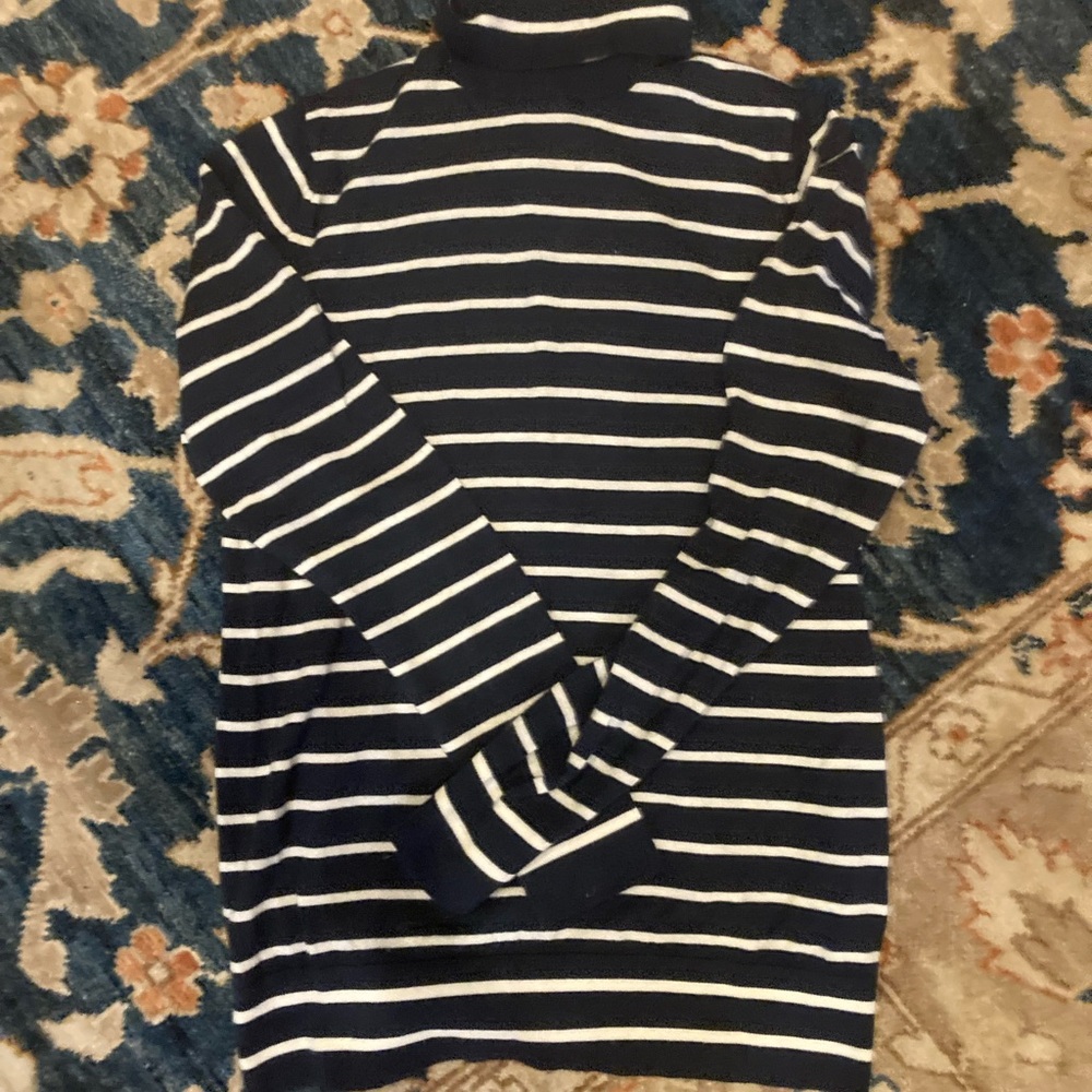 Banana Republic 100% Merino Striped Turtleneck Sweater